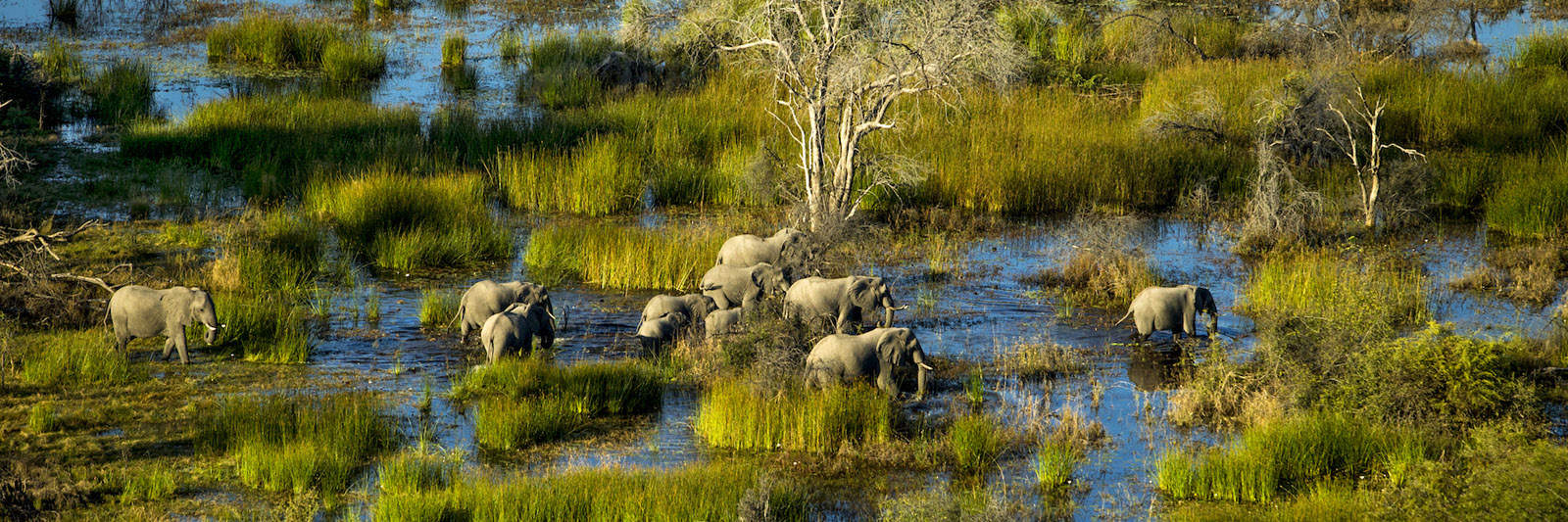 10 Quick Facts About Botswana (that will make you want to go there)