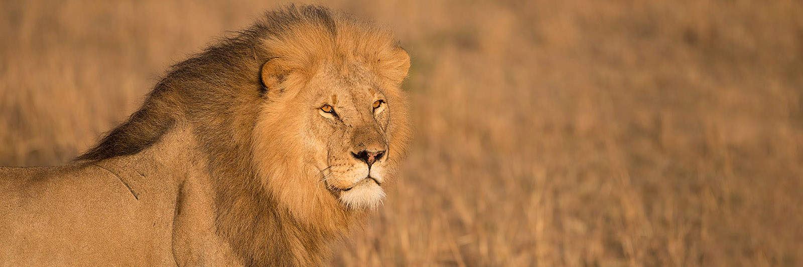How to Pack for an African Photo Safari