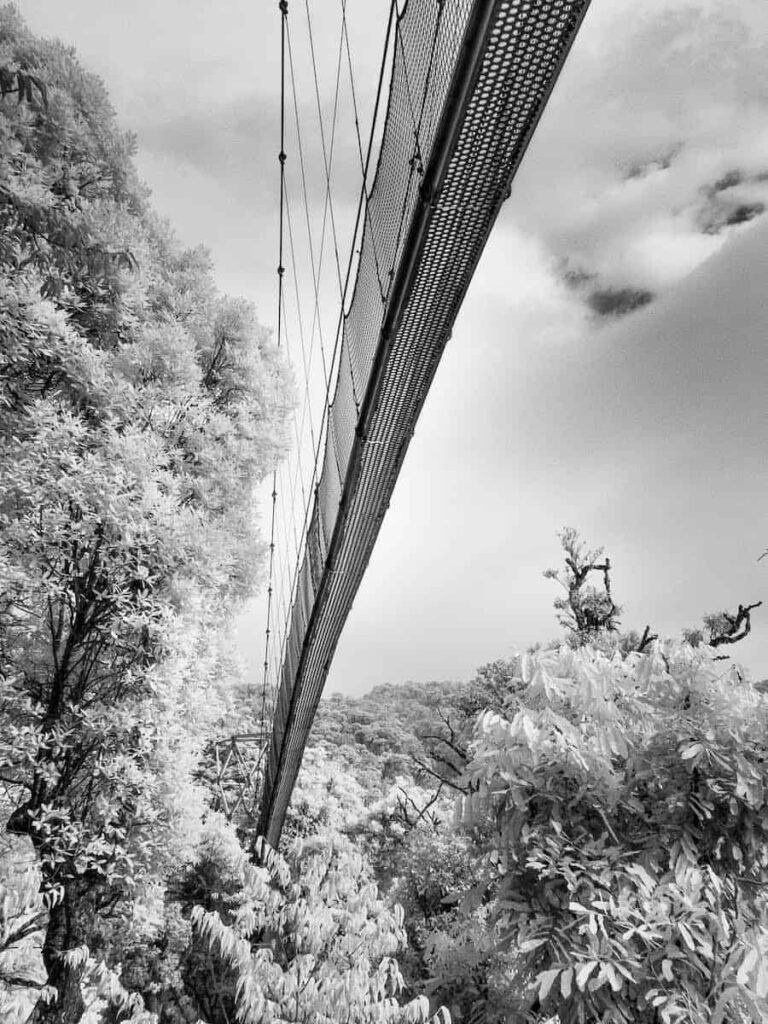 black and white bridge black and white bridge