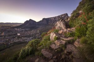 Table Mountain