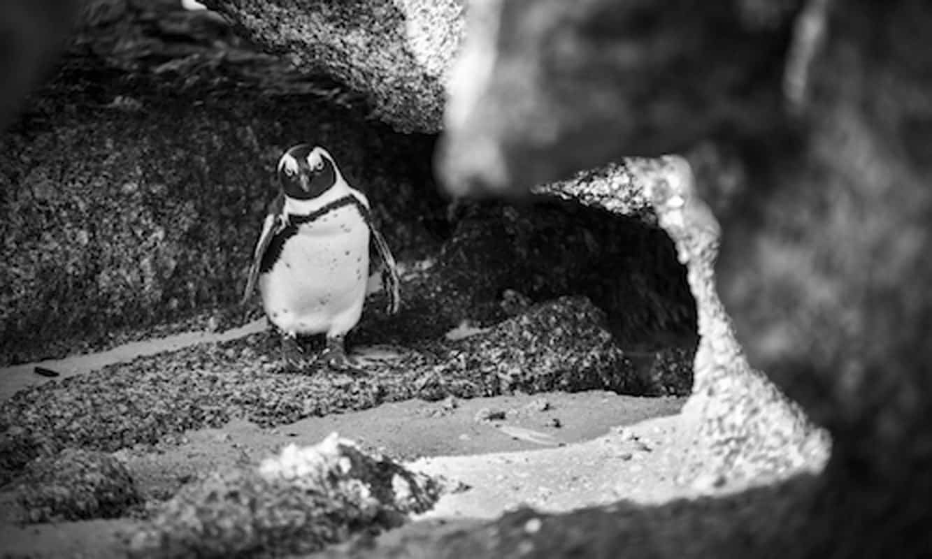 6 Questions for Photographer Sarah Isaacs