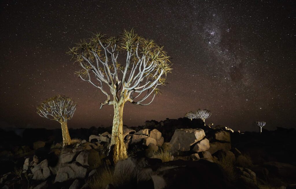 Astrophotography desert night by Emil von Maltitz