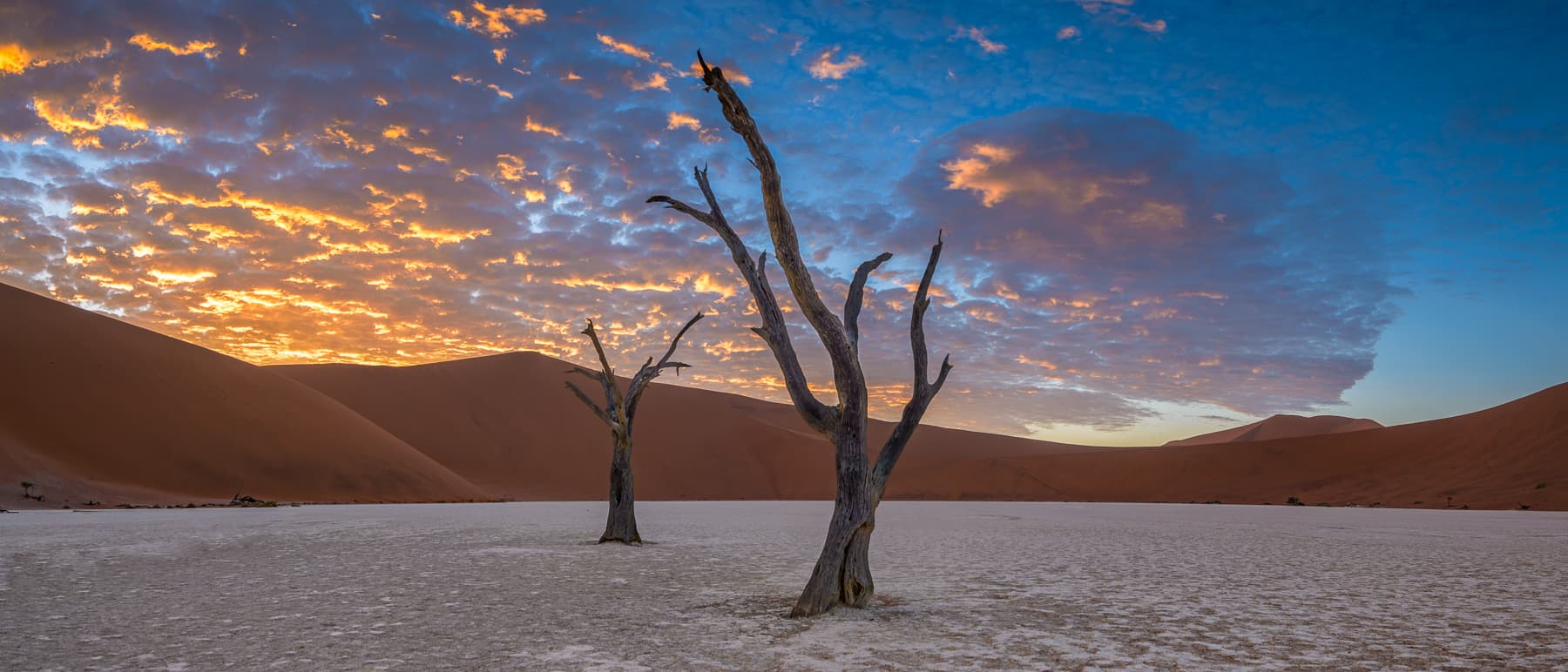 Desert Ladscape at Sunset by Emil von Maltitz