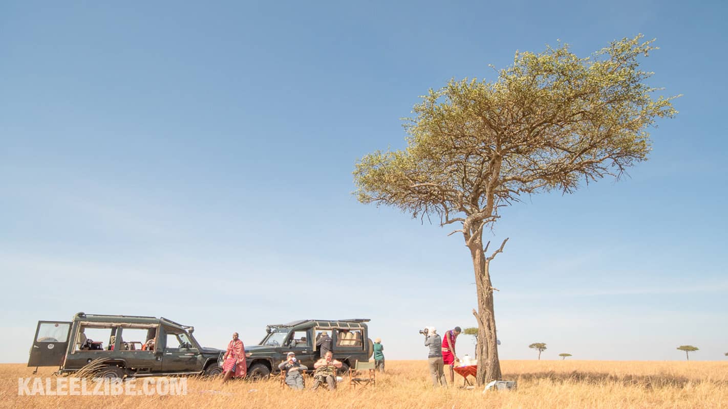 wildlife photography Maasai Mara