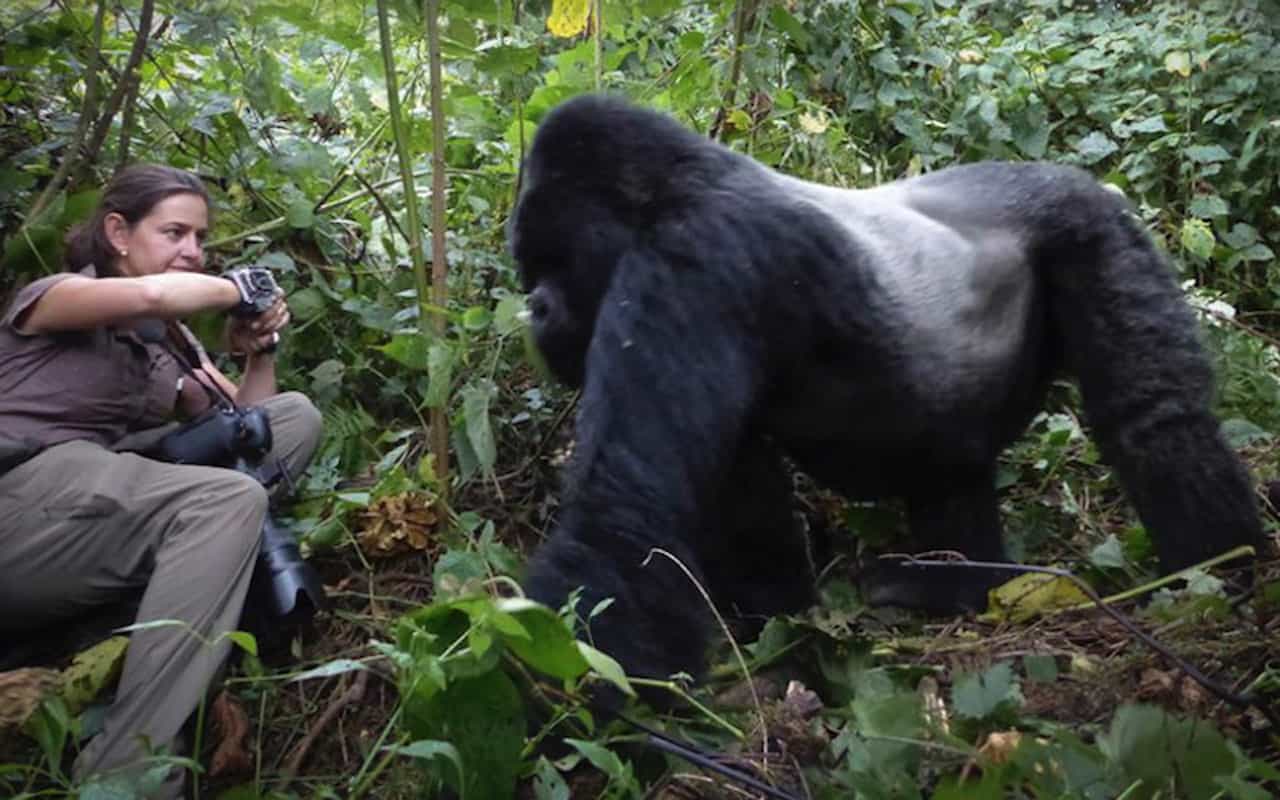 wildlife photography Uganda