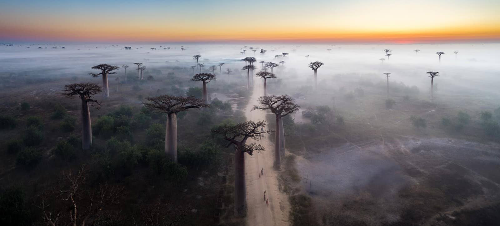 1705 13 050 Allee de Baobab EvM Edit Pano Edit Edit copy 2 - Best Landscape Photography Destinations