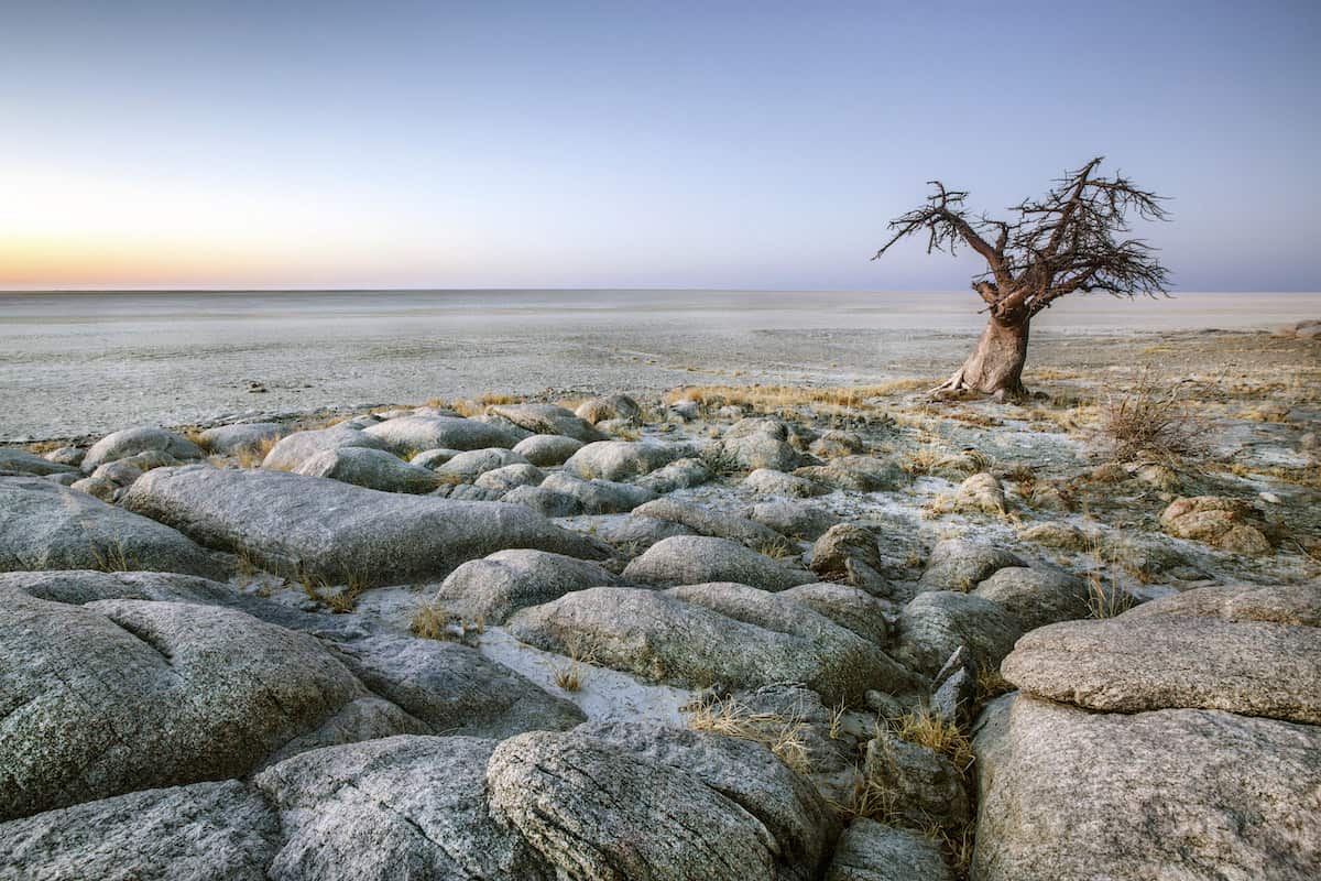 Botswana Landscape