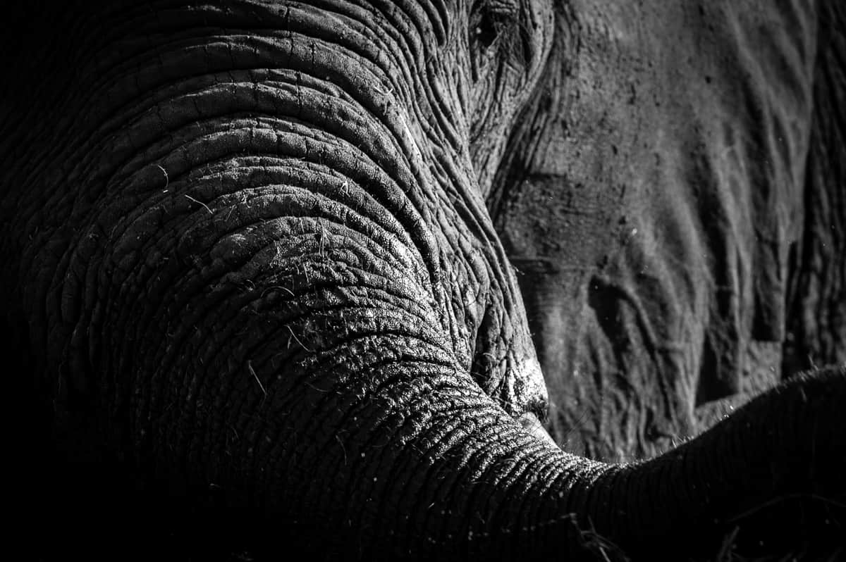 What Makes a Photo Safari Unique?