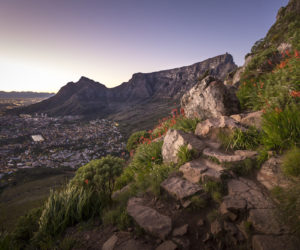 cape-town-photography14
