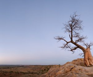 Botswana photo safari