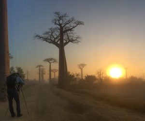 Madagascar photo tour