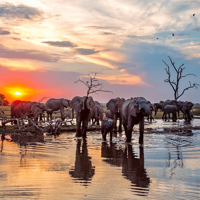 5 Best Wildlife Photography | Instagram Accounts 5 Best Wildlife Photography | Instagram Accounts