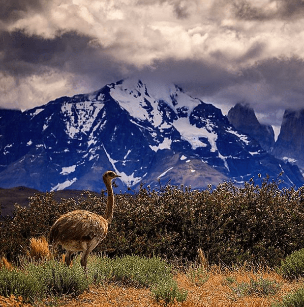 wildlife photography Instagram accounts