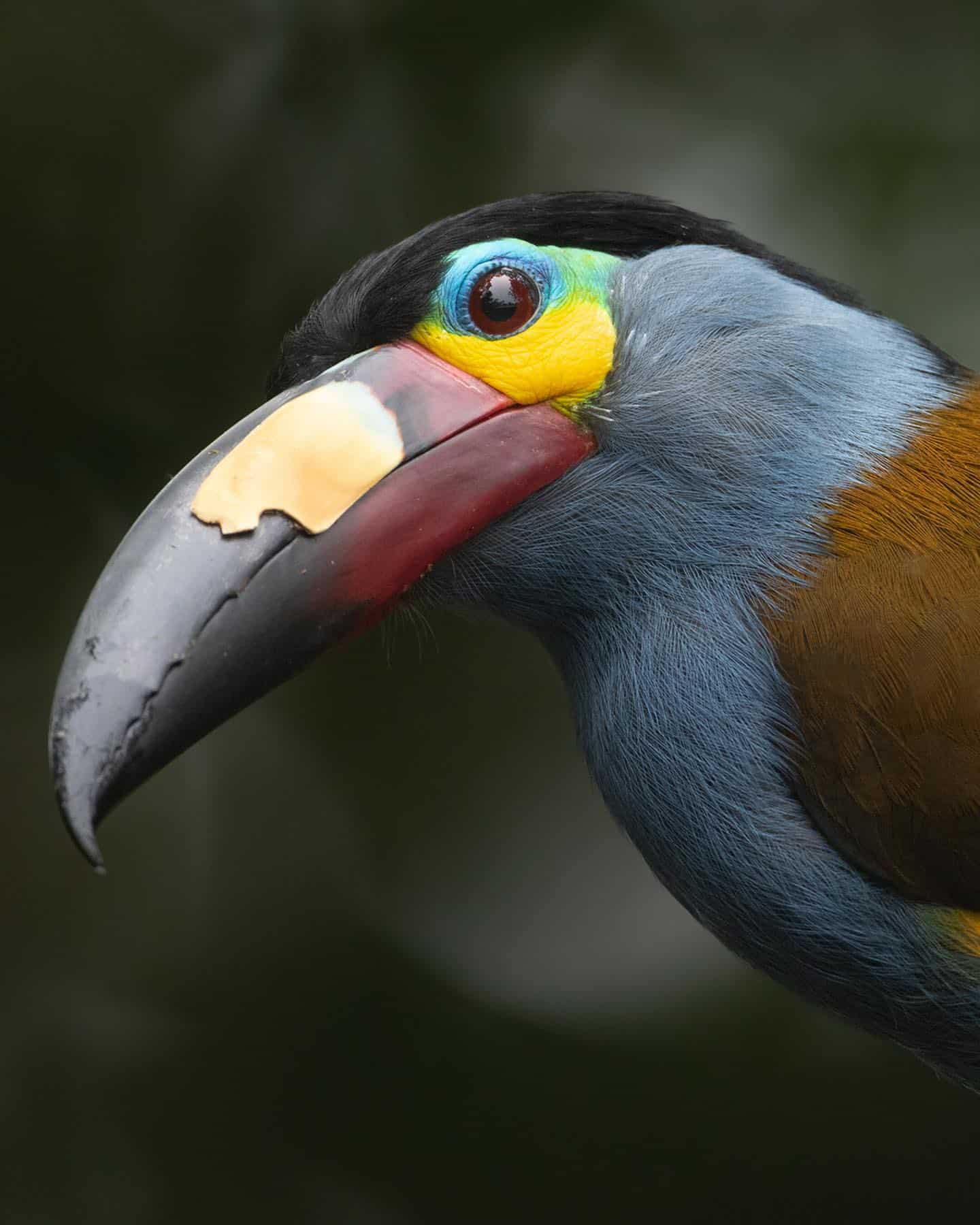 5 Best Wildlife Photography | Instagram Accounts 5 Best Wildlife Photography | Instagram Accounts