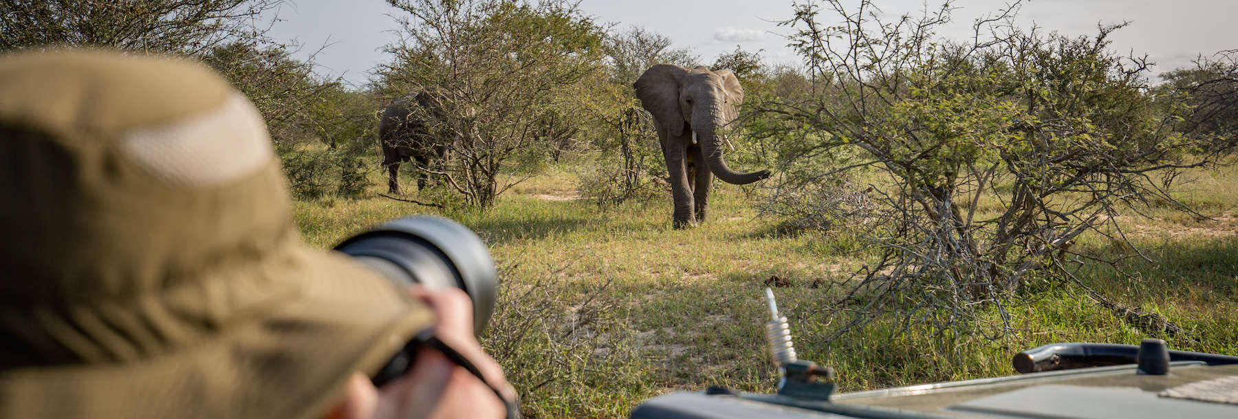 Why doing a wildlife photography internship abroad is a great idea