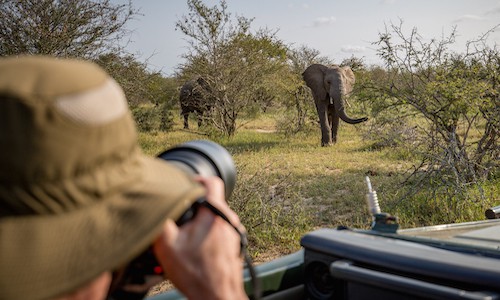 Why doing a wildlife photography internship abroad is a great idea