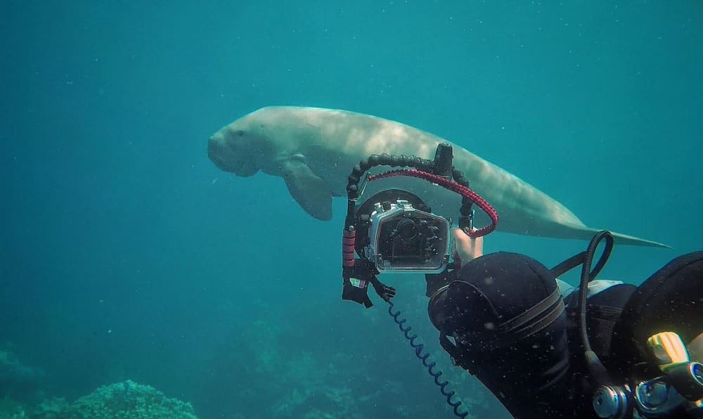 Ocean photography program Mozambique