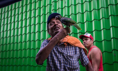 Embark On A Documentary Photography Trip To Cuba