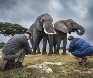 wildlife photography workshop Zimbabwe