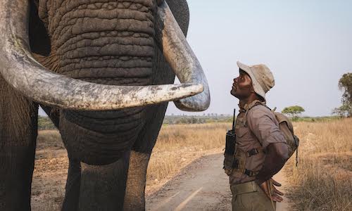 wildlife conservation photography course
