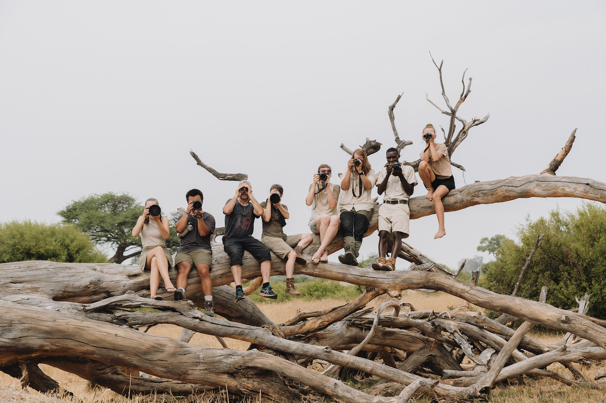People holding their cameras while sitting on a large fallen tree.