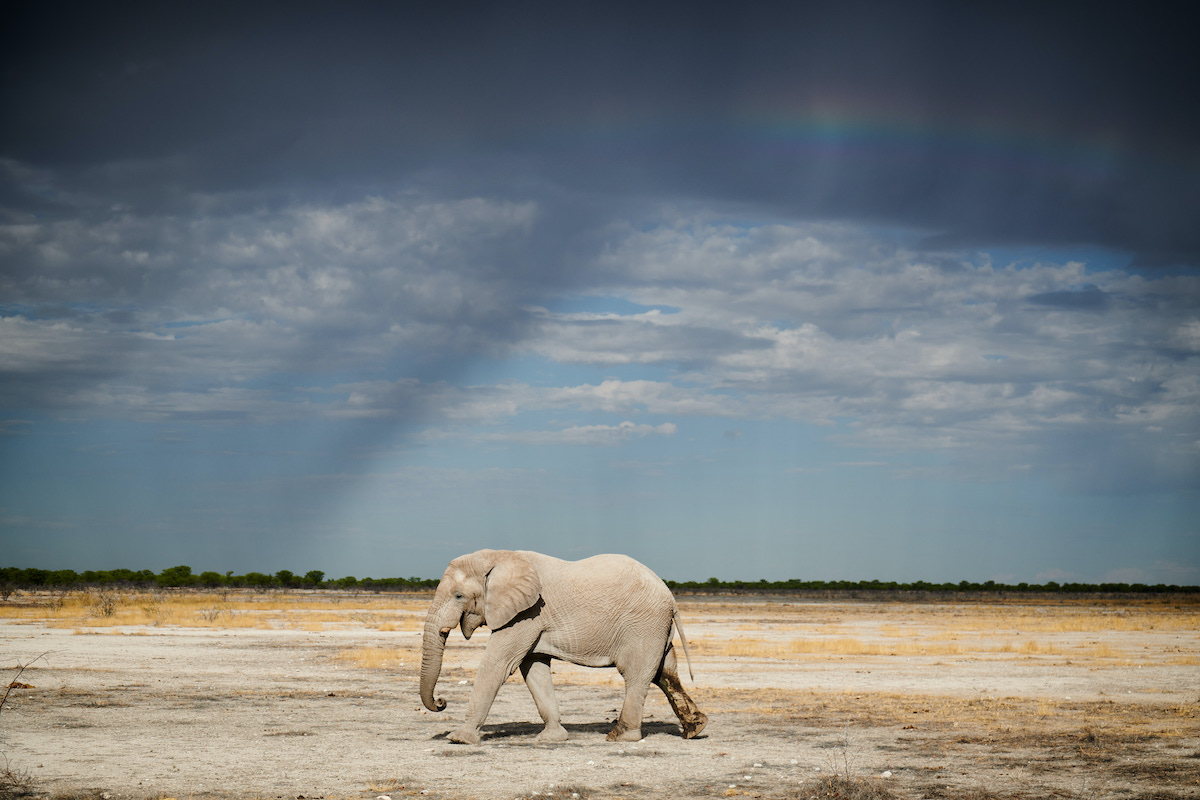 Namibia photo tour