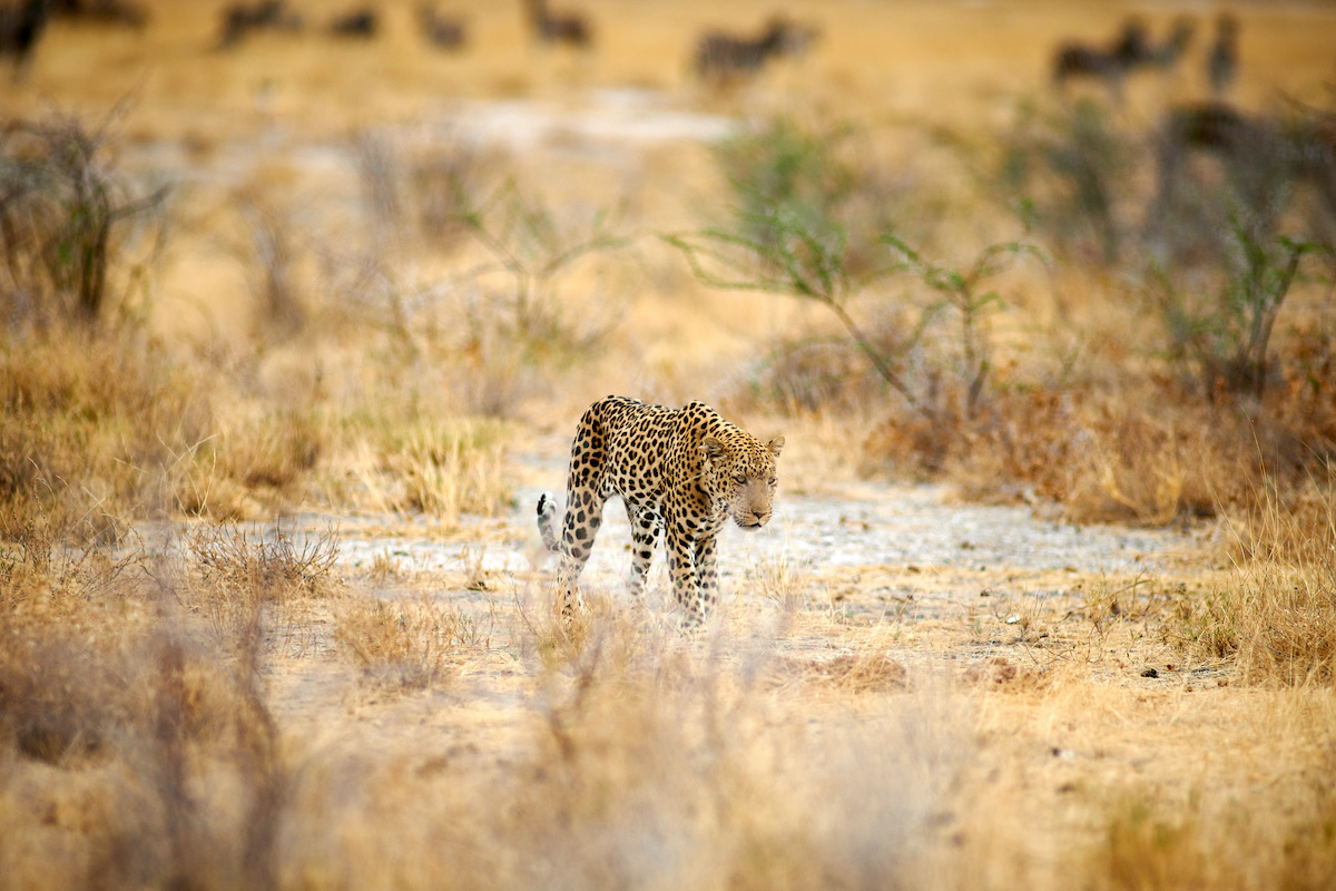 Namibia photo tour_10