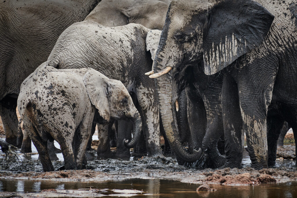 Namibia photo tour