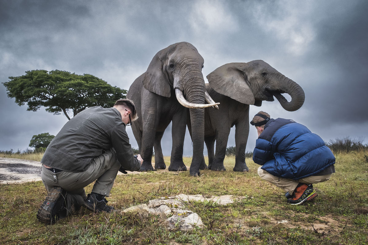 wildlife photographers taking photos of elephants