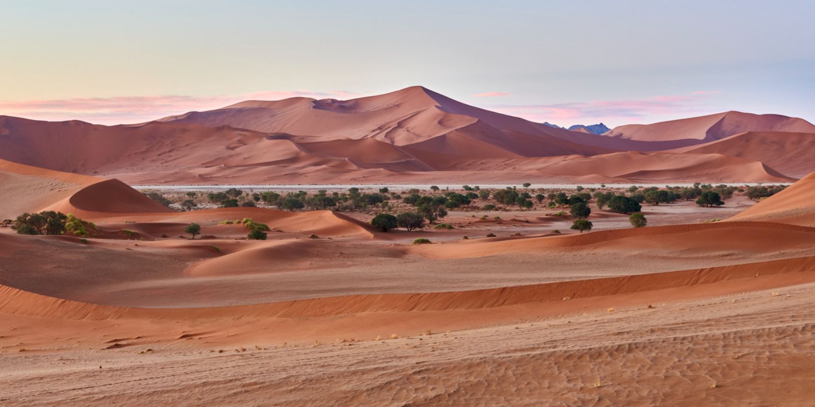 the sand dunes in Namibia at sunset