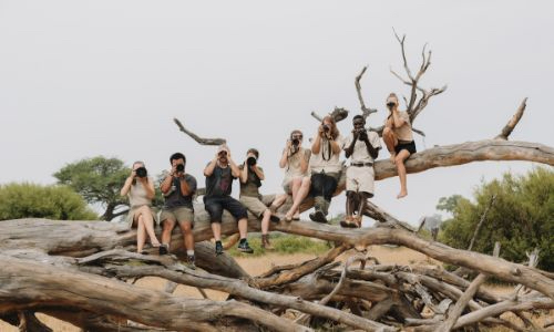 Life as a Wildlife Photography Volunteer in Victoria Falls