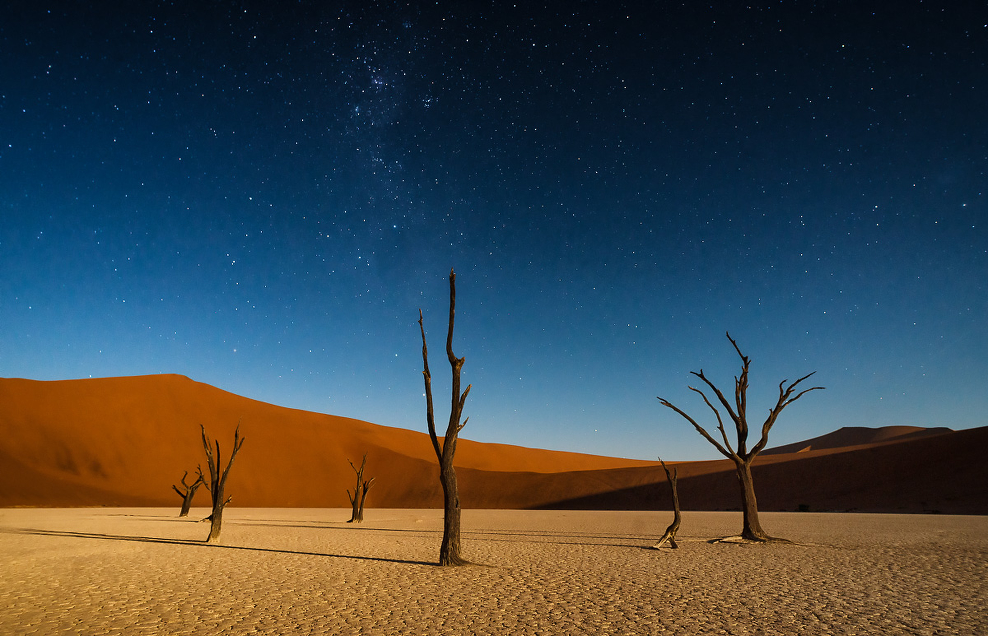 Dead trees under the stars on moonlit night at Dead Vlei in the Namib-Naukluft National Park