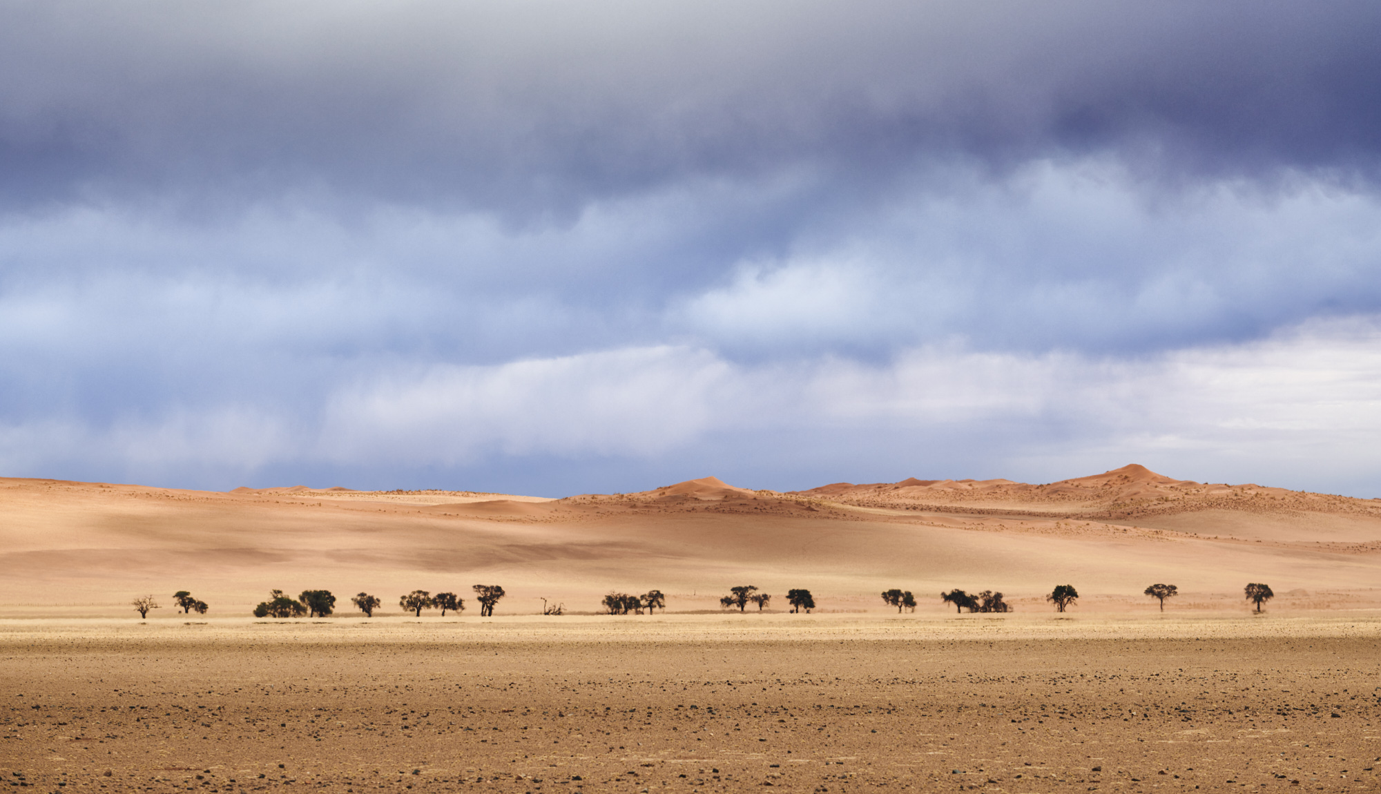 a landscape photo of a desert