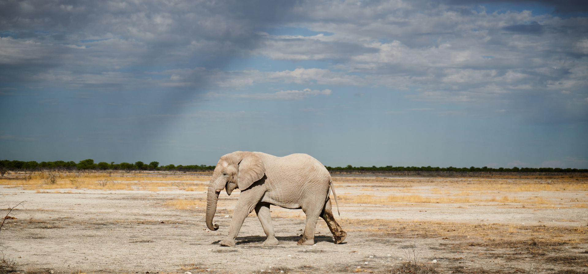 What to Expect from Photo Tours in Namibia
