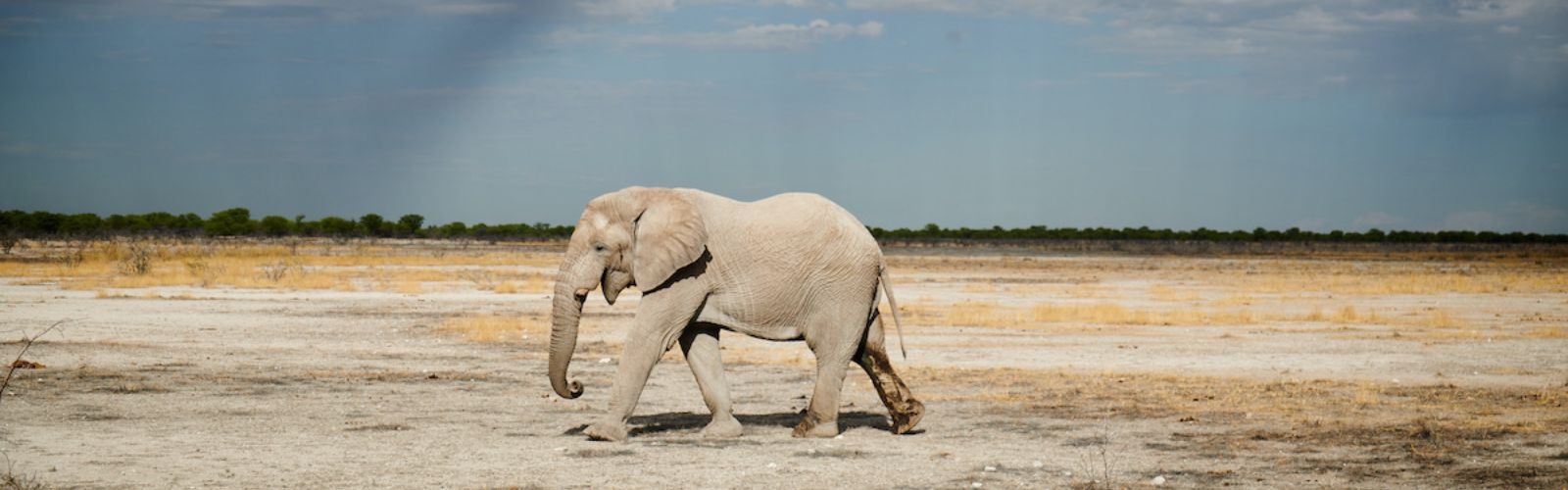 What to Expect from Photo Tours in Namibia