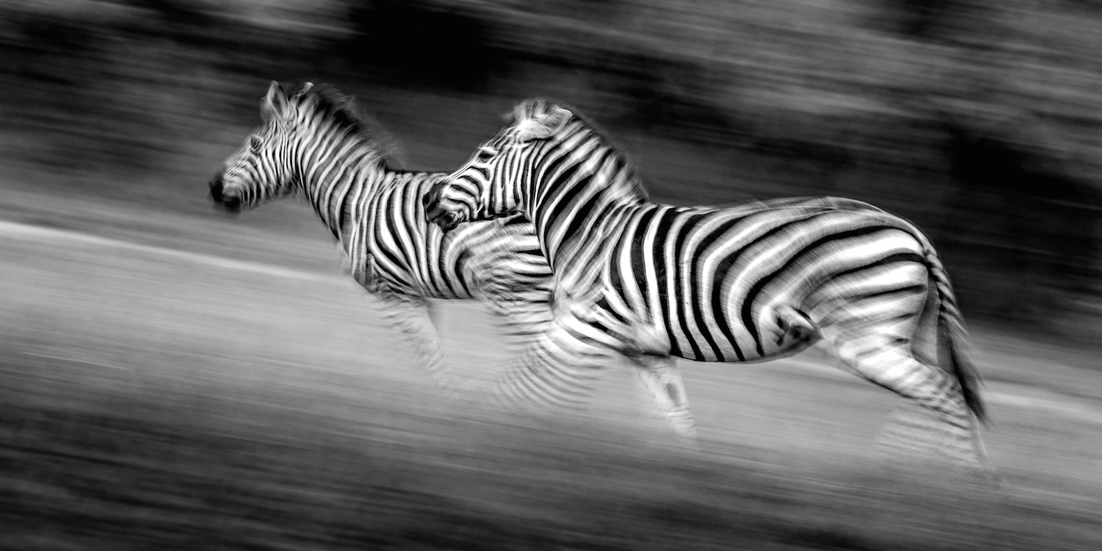 Why You Might Want to Join a Photography Volunteer Project