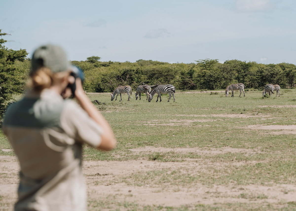 Maasai Mara wildlife photography project