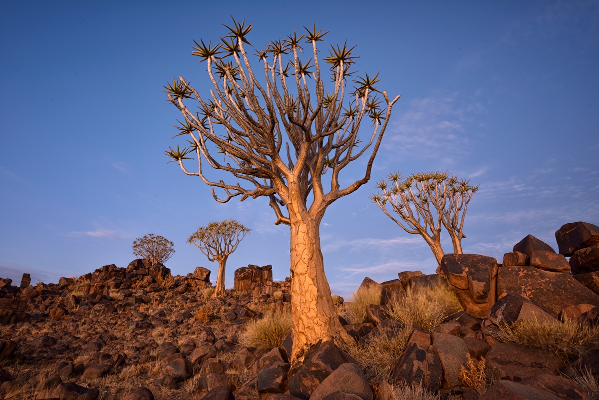 Namibia photo tour_9