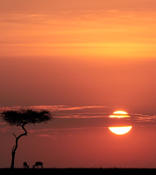 Maasai Mara photo safari