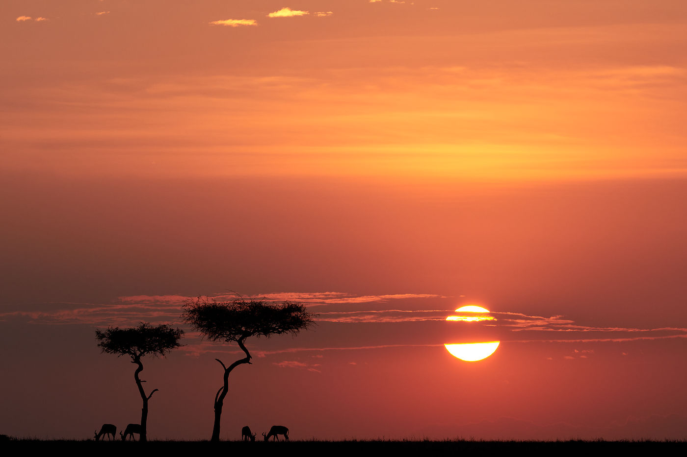 Maasai Mara photo safari_5