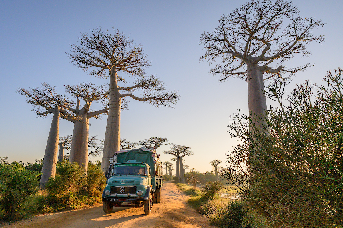 Madagascar photo tour_5