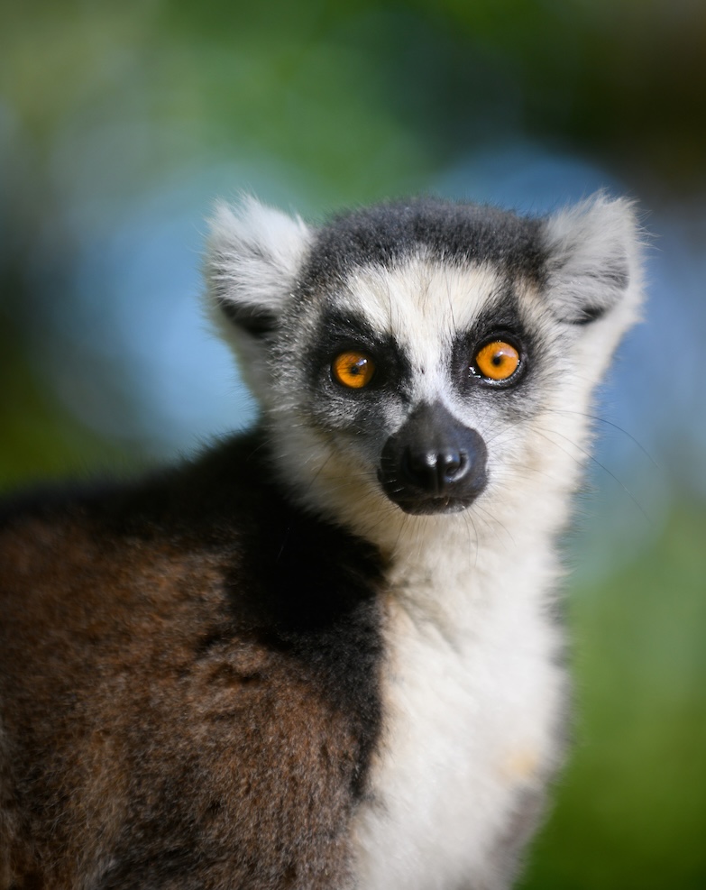 Madagascar photo tour