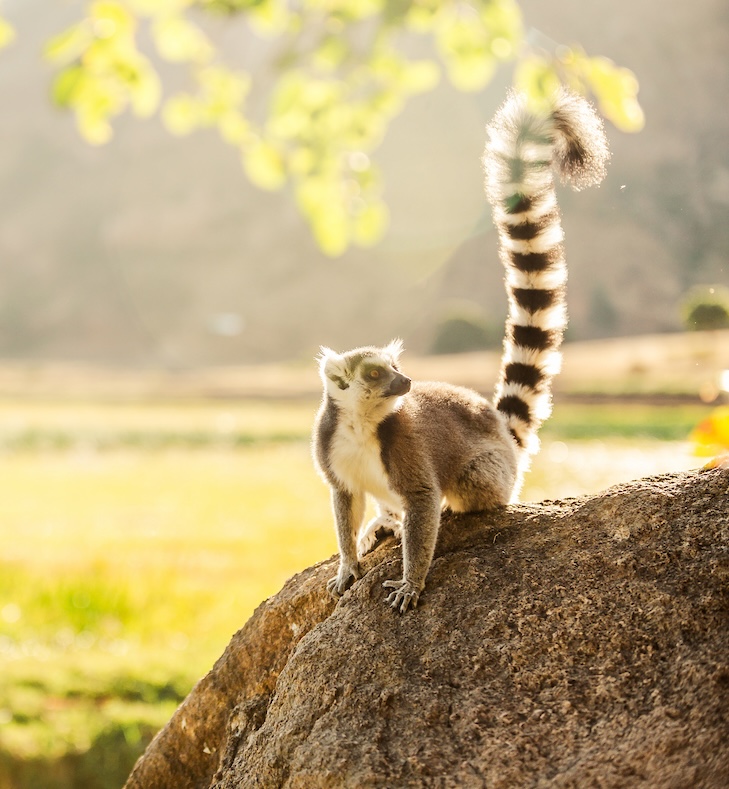 Madagascar photo tour