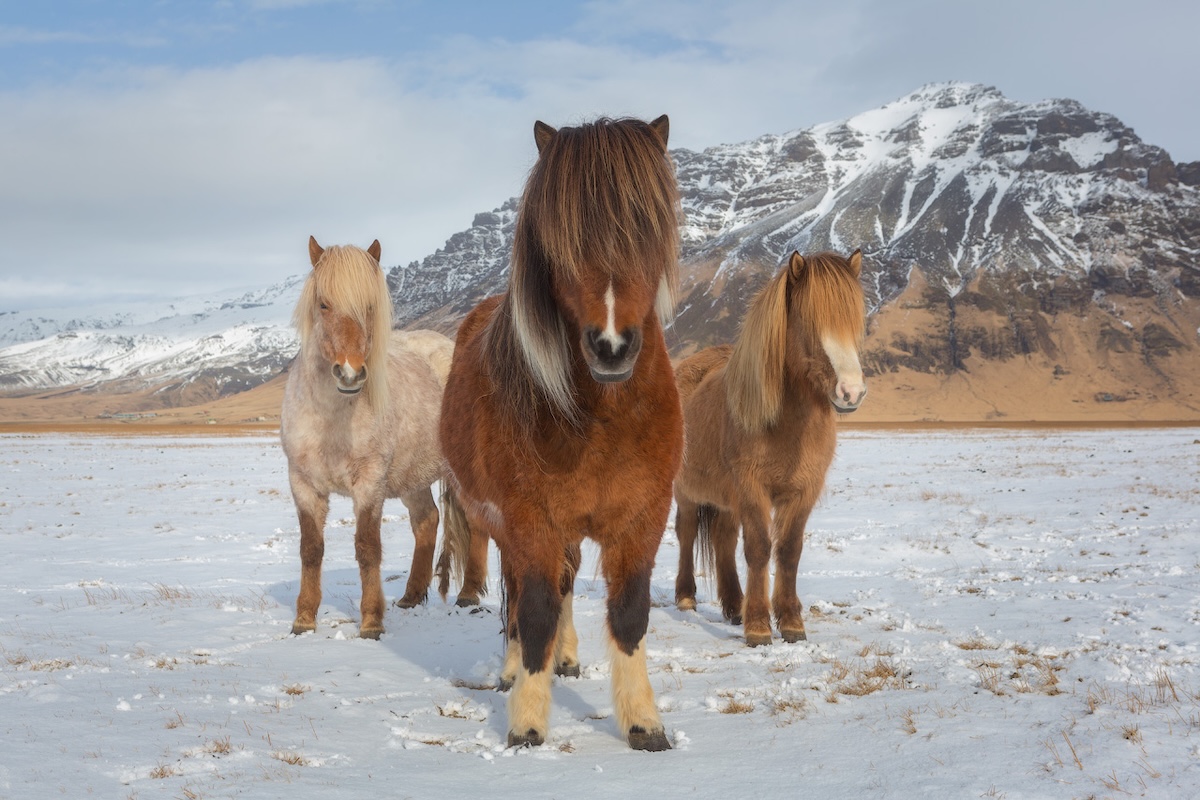 Iceland photo tour_6