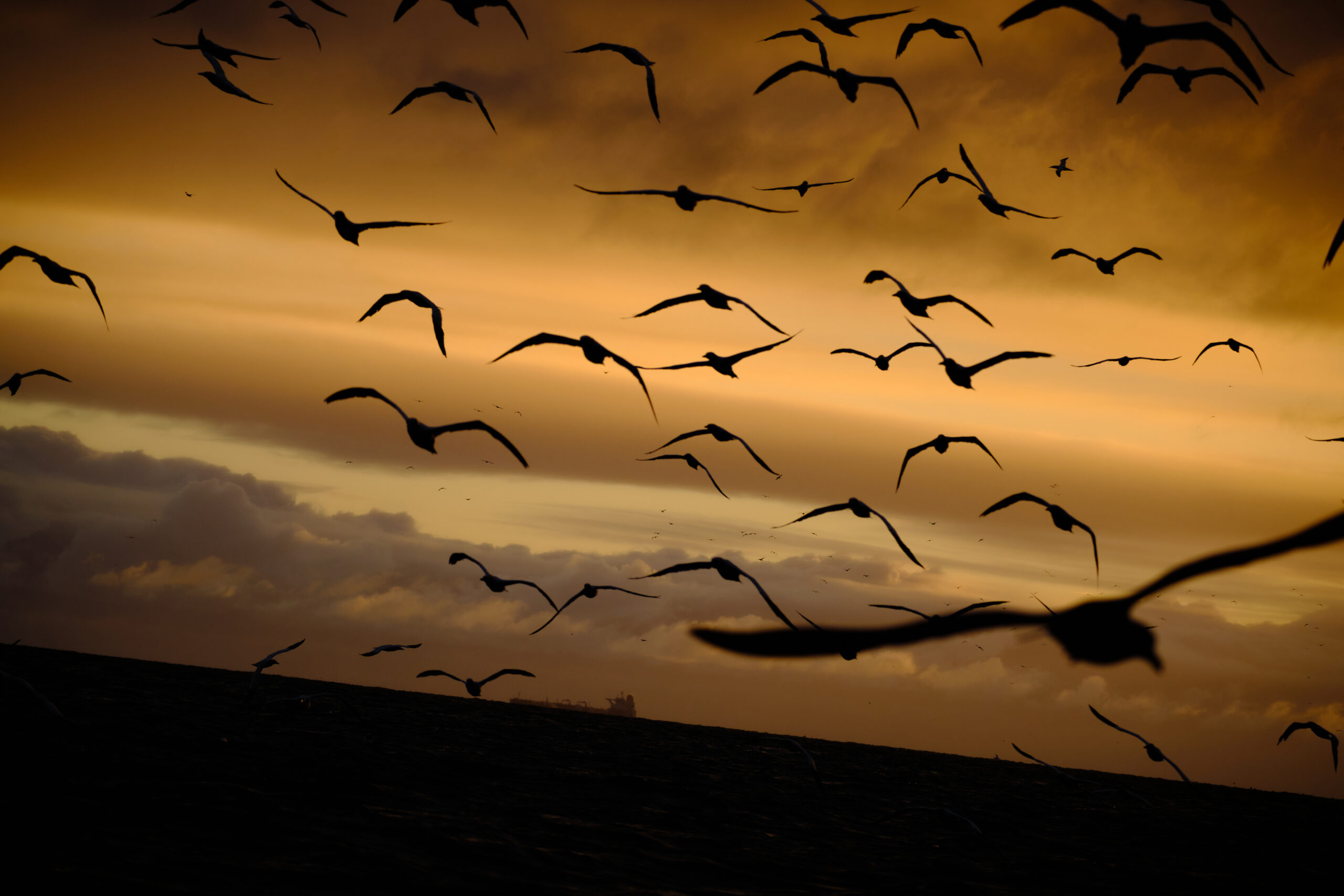 Q&A with Photographer Will Hall – Get to know your Photo Tour Leader