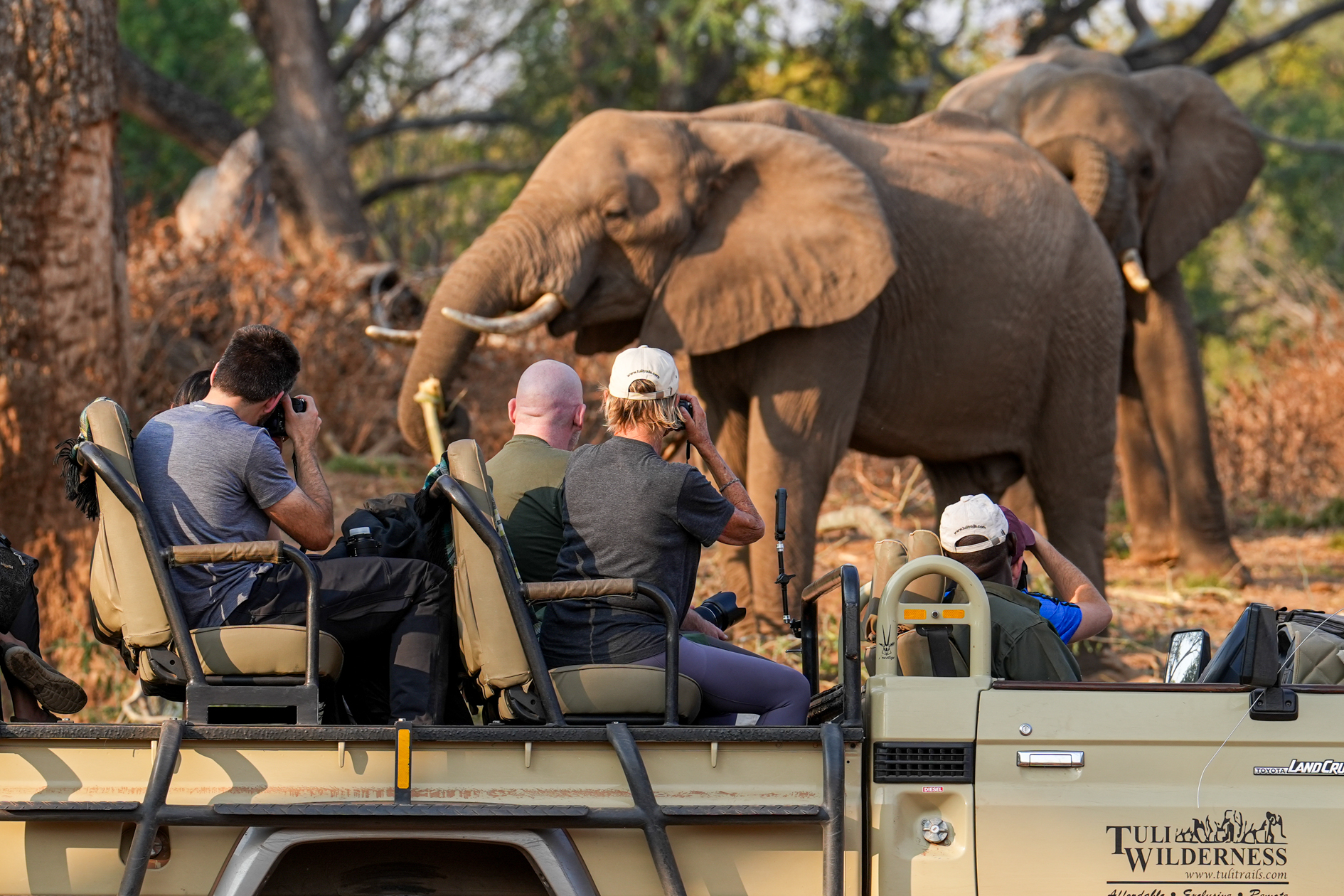 A group of people in a safari ride, capturing an elephant.