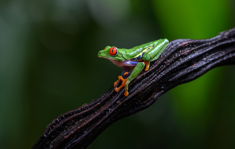 Costa Rica photo tour_8