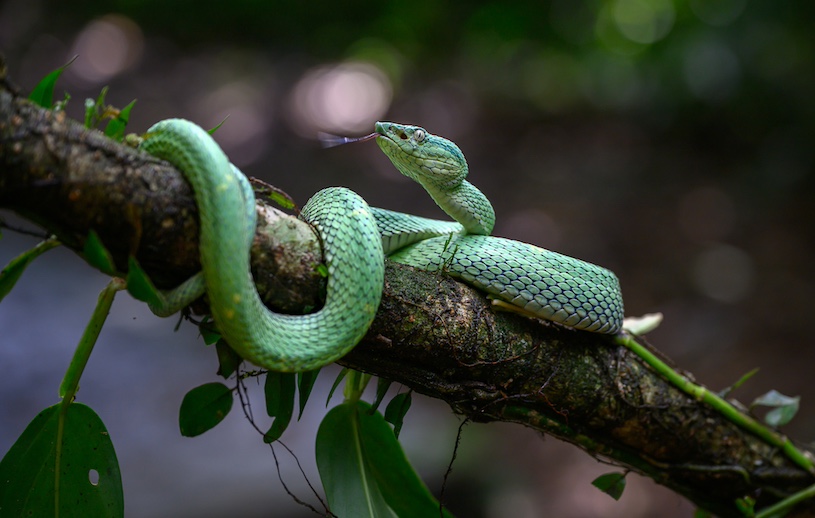 Costa Rica photo tour_9