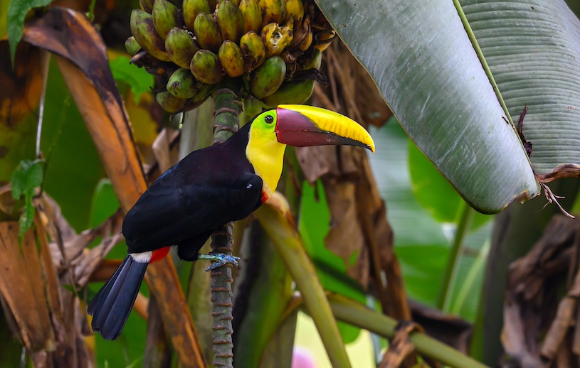 Costa Rica photo tour_7