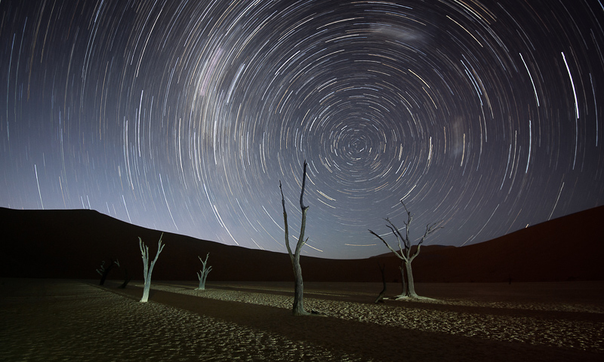 Bare trees stand in a desert under a sky filled with swirling star trails in Namibia